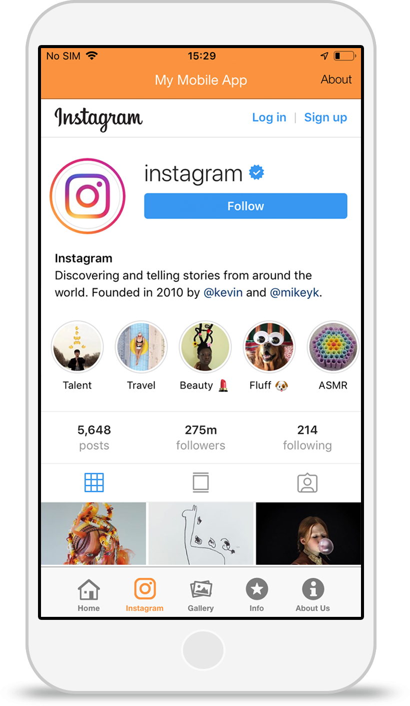 Instagram-Integration.png